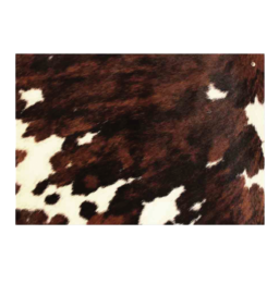 Set de table en peau ABONDANCE
